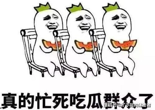 娱乐吃瓜酱专属梗图片,图解娱乐圈那些事儿